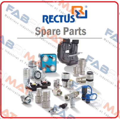 Rectus (Parker)