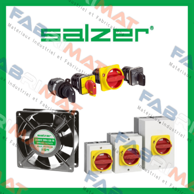Salzer