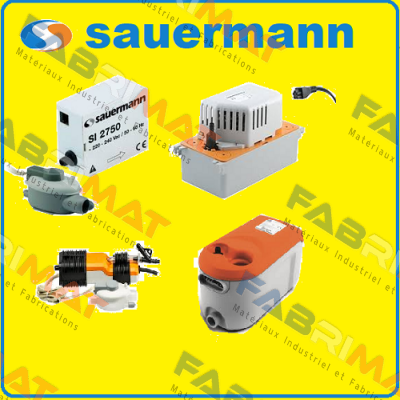 Sauermann