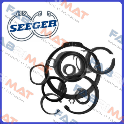 Seeger Orbis