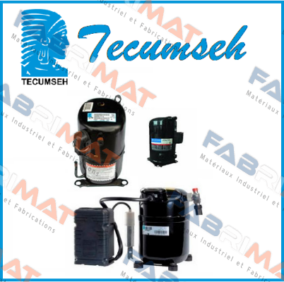 Tecumseh