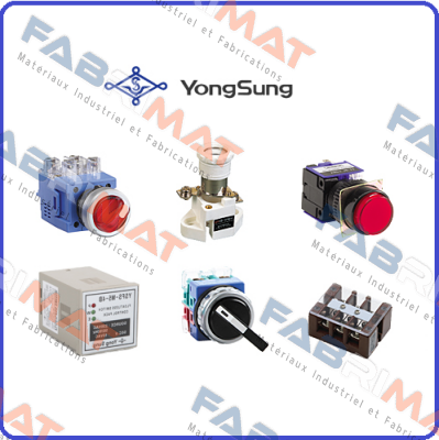 YongSung Electric
