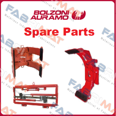 Bolzoni