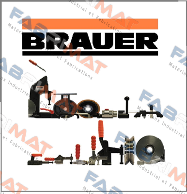 Brauer