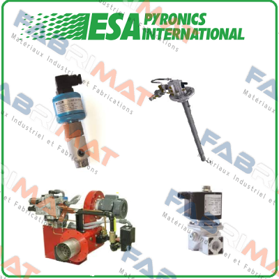 ESA Pyronics International