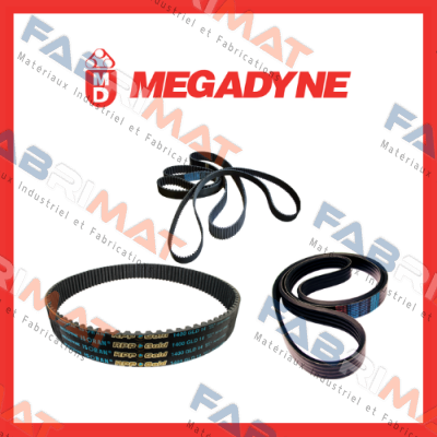 Megadyne