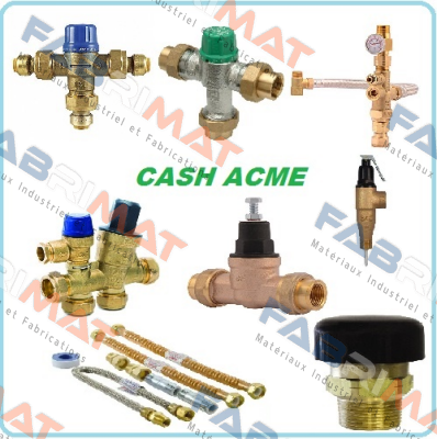 FVX AND FVMX COMMERCIAL T&P RELIEF VALVES  Cash Acme