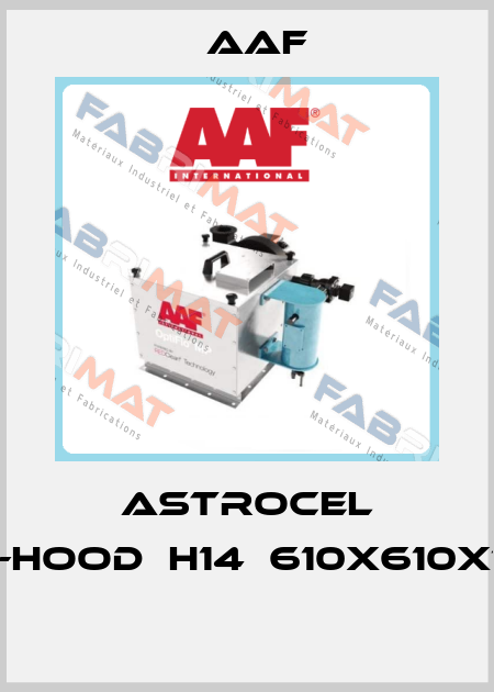 ASTROCEL TM-HOOD	H14	610X610X125  AAF