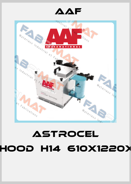 ASTROCEL TM-HOOD	H14	610X1220X125  AAF