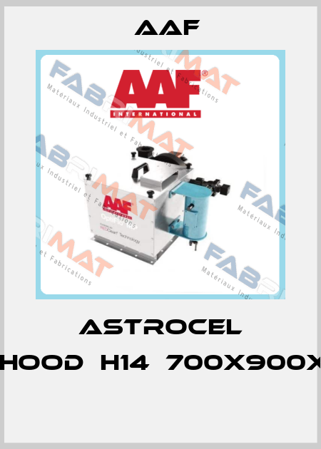 ASTROCEL TM-HOOD	H14	700X900X125  AAF