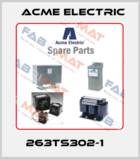  263TS302-1    Acme Electric