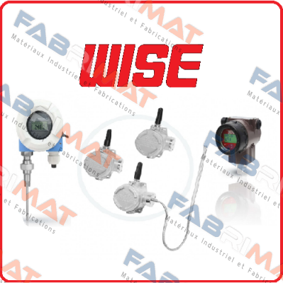 T1904Y1ED113440 Wise
