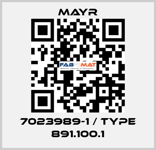 7023989-1 / Type 891.100.1 Mayr