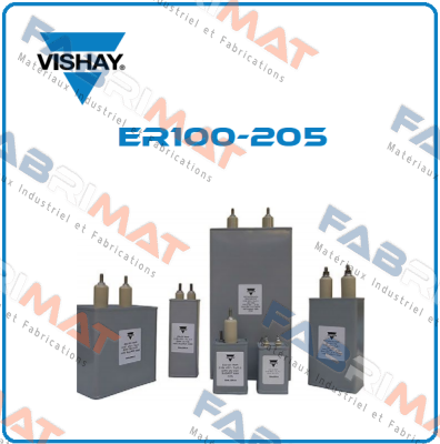 ER100-205 Vishay
