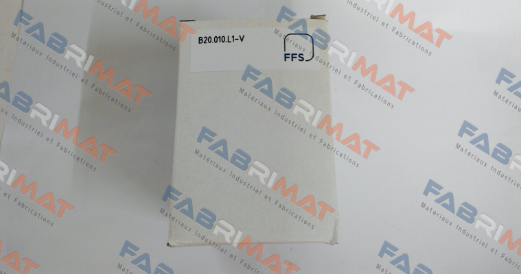 FE B20.010.L1-V Fluidtech