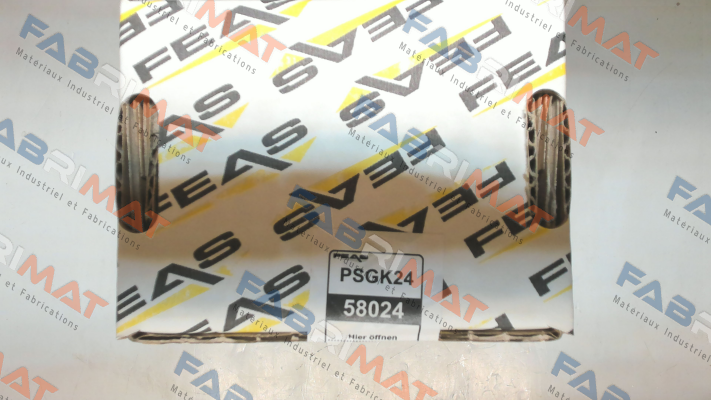 58024 / PSGK24 Feas