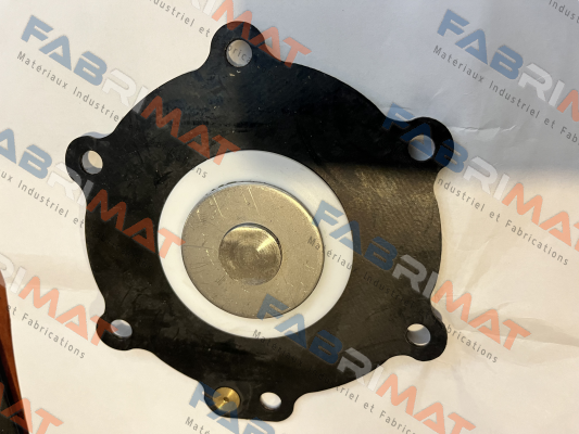 big diaphragm for PL101007N Tork