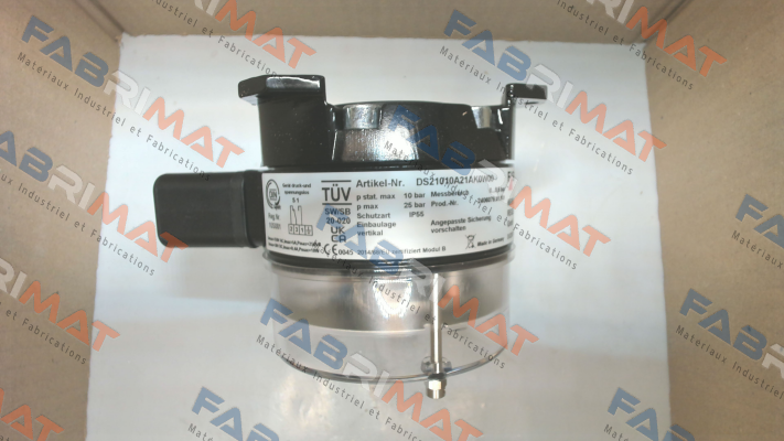 DS21010A21AK0W00 Fischer Mess Regeltechnik
