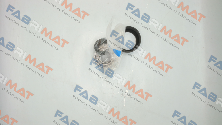 Set of bearing stars with bearings for V 630002 DA 7/7 RTC Chaysol