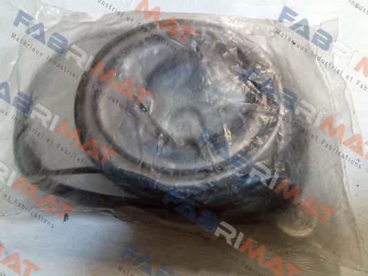 ARS/ARSW Seal Kit Brevini