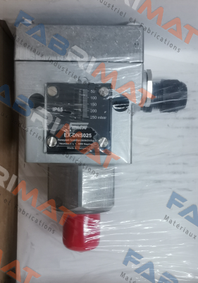 EX-DNS025 FEMA