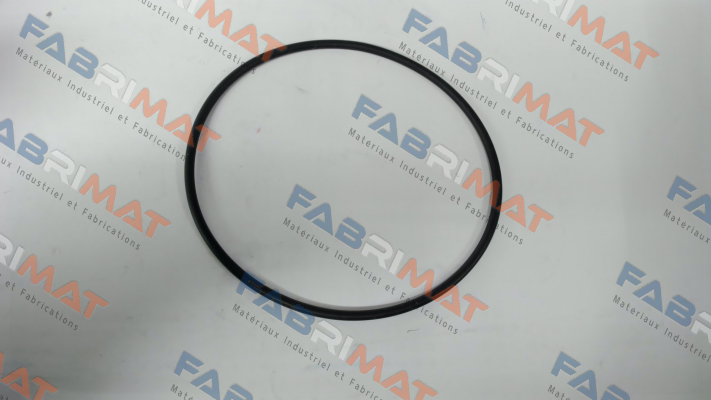 O-ring for filter type FM DN 50 Madas