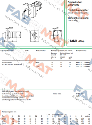 M220-61325D-013M1 Salzer