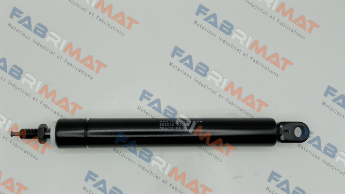 299030 Stabilus