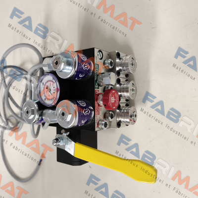 102322 / 0.75" EV 10 Blain Hydraulics