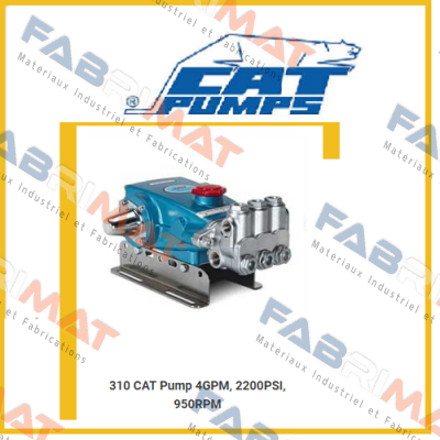 310  Cat Pumps