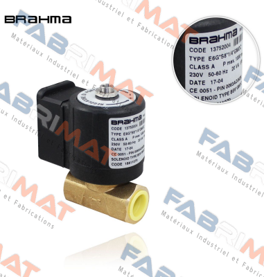 13752004 / E6G*S 8*1/4*GMOC Brahma