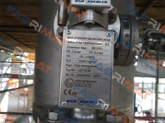 BNA-2"/300/RF-MG-M1.200-L60x2-MRAZTSS150/PN25/R48H-Ex  Ksr Kuebler