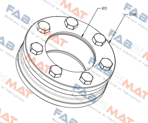 RFN4061 55X100 Ringfeder