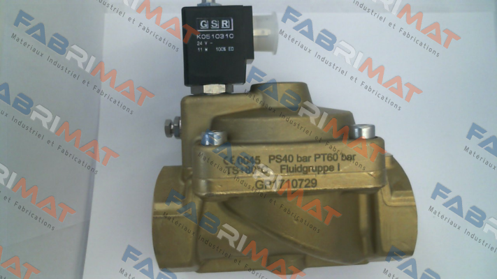 G051.000042.010.009.010 GSR