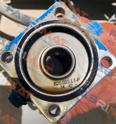 FE B20.025.L1-P Fluidtech
