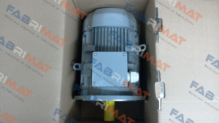 FCPA 132S-6 /PHE AC Motoren