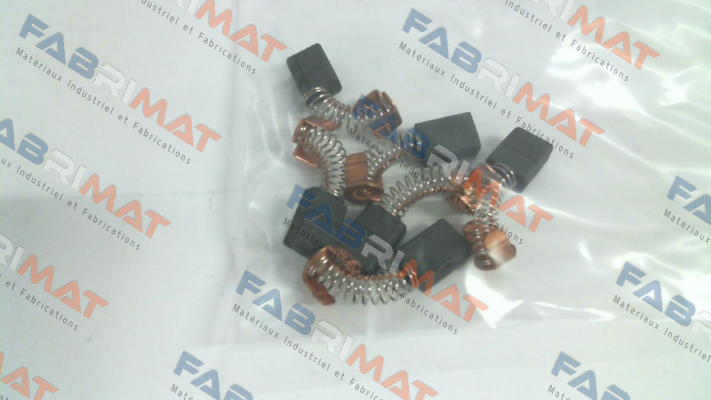 TD01802 Brush Assembly Delvo
