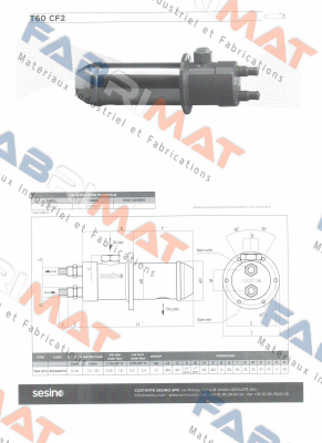 T60 C2 Sesino