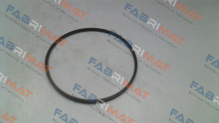 P0543 Pasquin