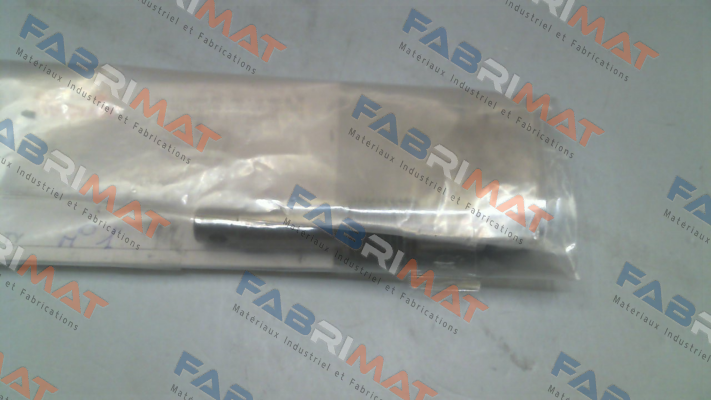 P0560 Pasquin