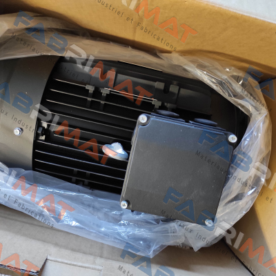 HMA3 132M2 - 4 pole Hoyer Motors