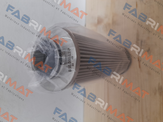 Nr. 141436, Type: FE B50.060.L2-P Fluidtech
