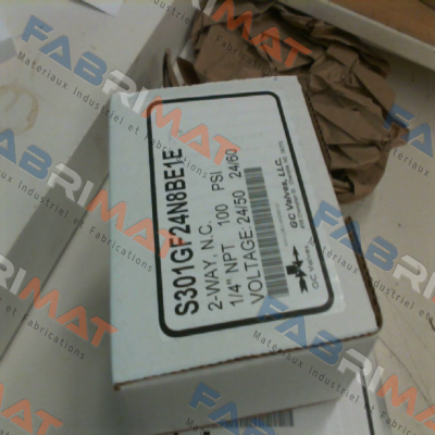 S301GF24N8BE1E GC Valves