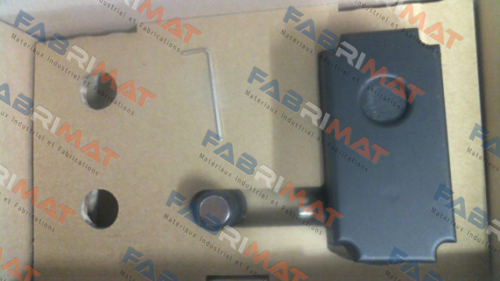 TST PD2-RA-A0R / 5862.000.00 FEIG ELECTRONIC