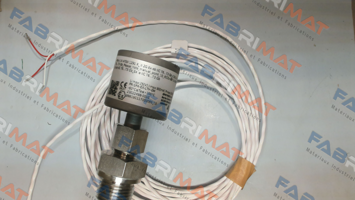 LT-38-1PT100-B3-ATEX Ephy Mess