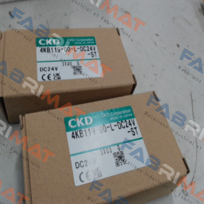 4KB119-00-L-DC24V Ckd