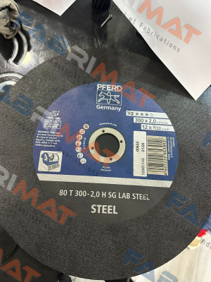 66300100 / 80 T 300-2,0 H SG LAB STEEL/32,0 Pferd